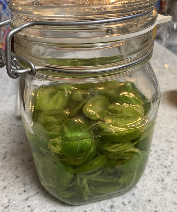 Thumbnail of post image 078